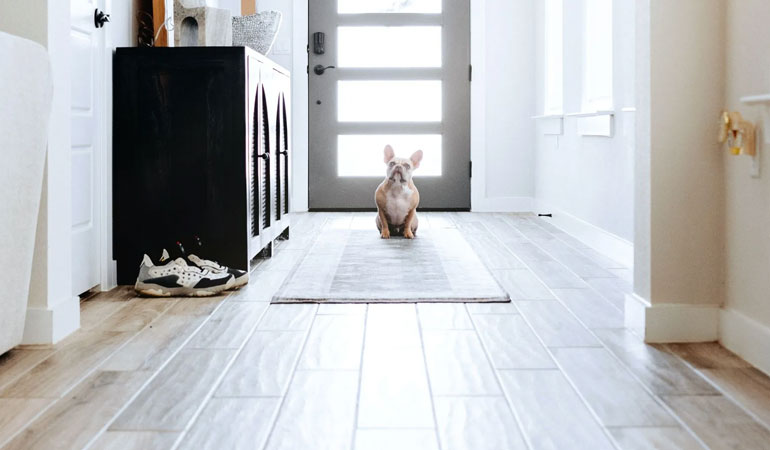 Home Improvement Services in Flushing Ave, NY